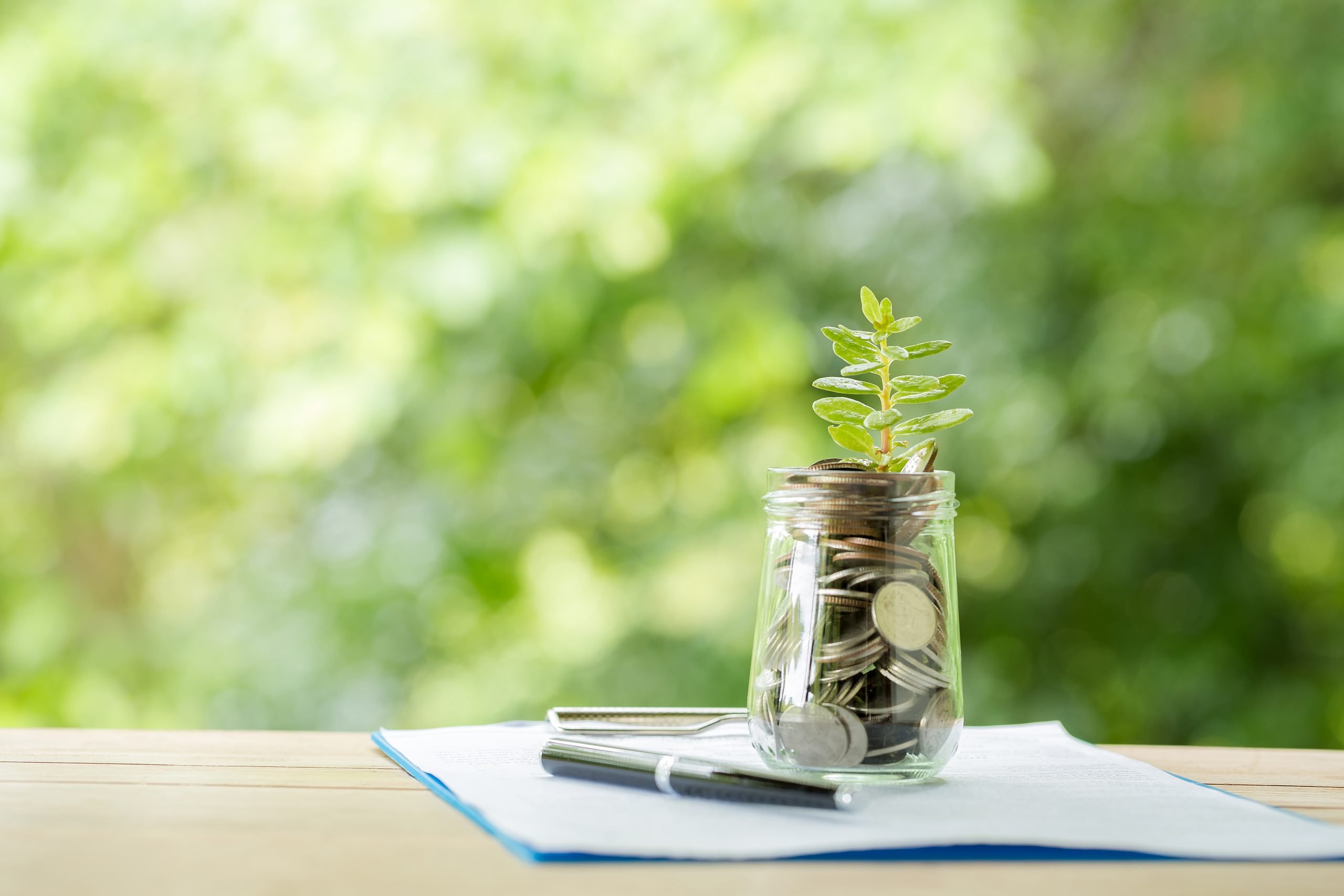 Investeer met je spaargeld - lovethat.nl