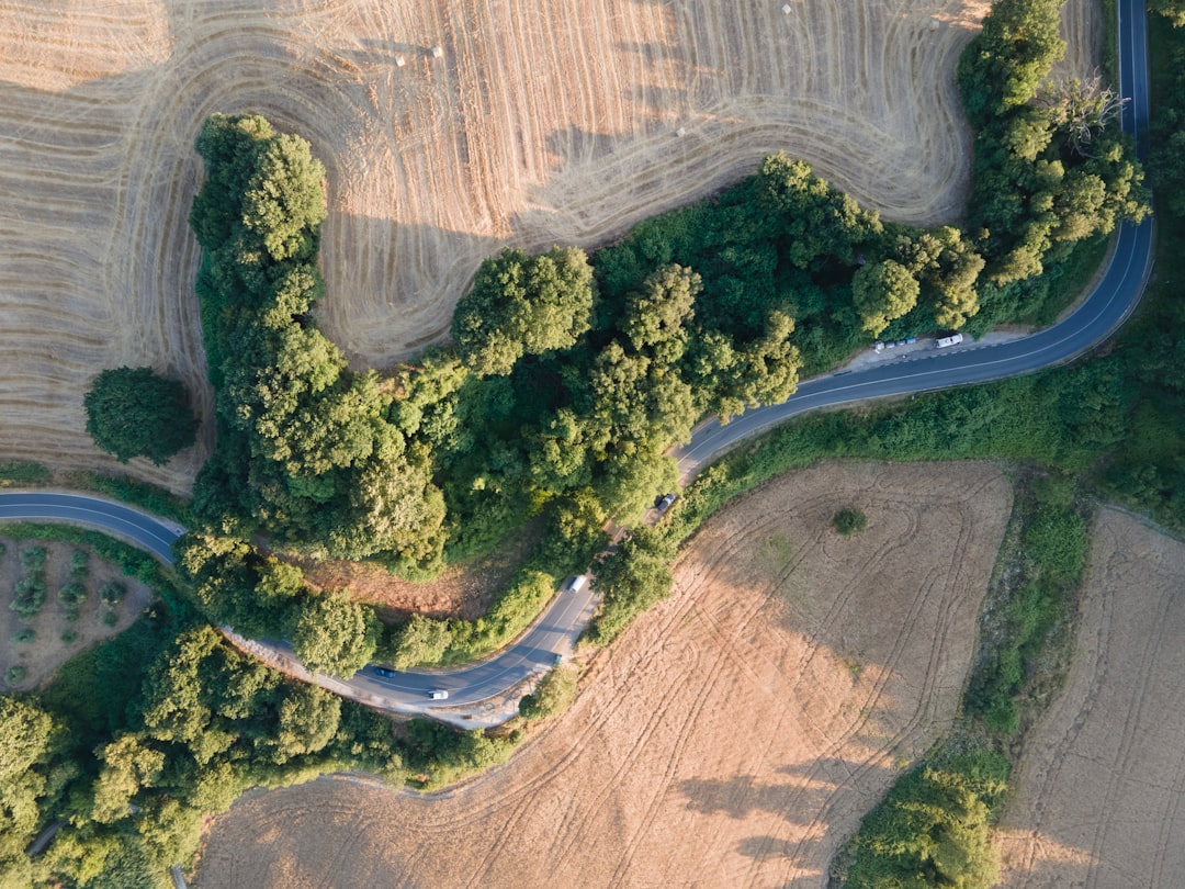 an aerial view of a winding road surrounded by trees