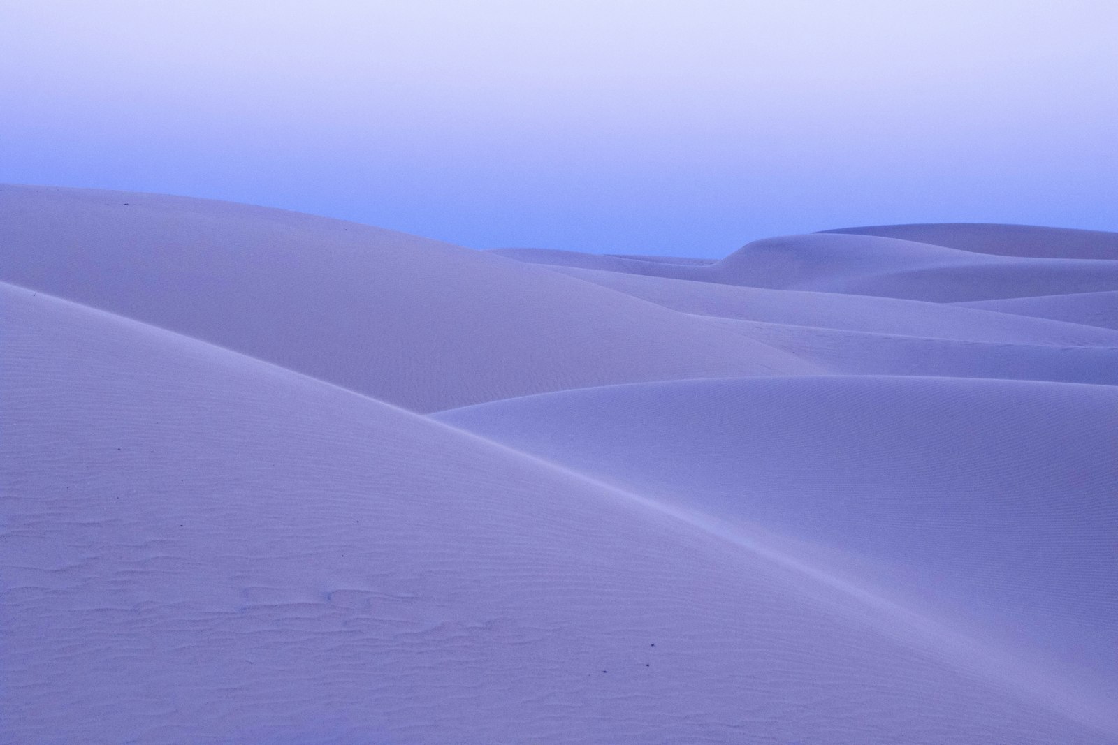Zandduinen in het vroege ochtendlicht