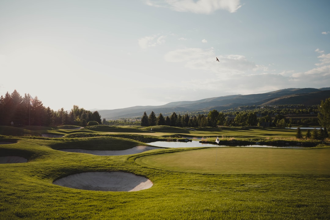 Golfer op de green