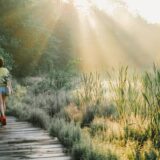 Vrouw wandelt over een vlonderpad door het groen in de ochtendzon