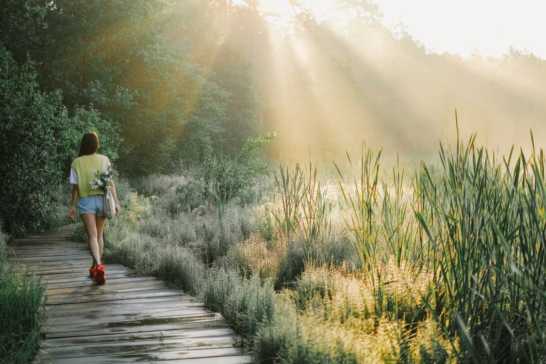 Vrouw wandelt over een vlonderpad door het groen in de ochtendzon