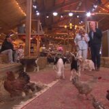 Janny van der Heijden en André van Duin tussen de dieren in een schuur in Beestenboel