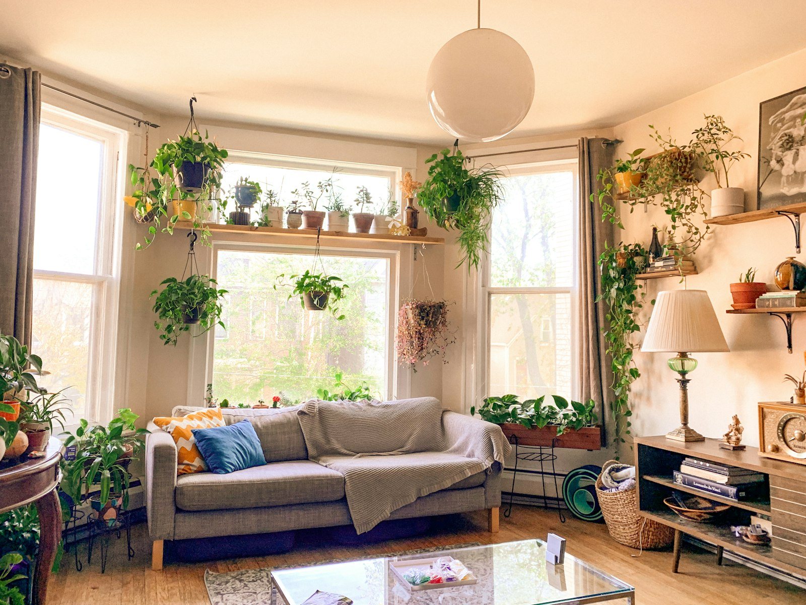 Gezellige woonkamer met bank, planten en lampen