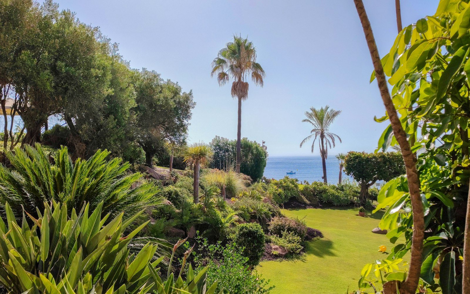 Palmbomen en zee aan de Costa del Sol