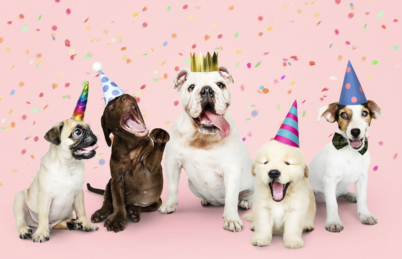De leukste 8 cadeaus voor meisjes van 6, 7 en 8 jaar oud