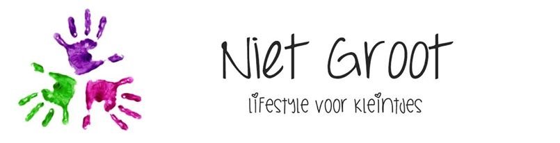 Niet groot, scandinavisch lifestyle voor kinderen