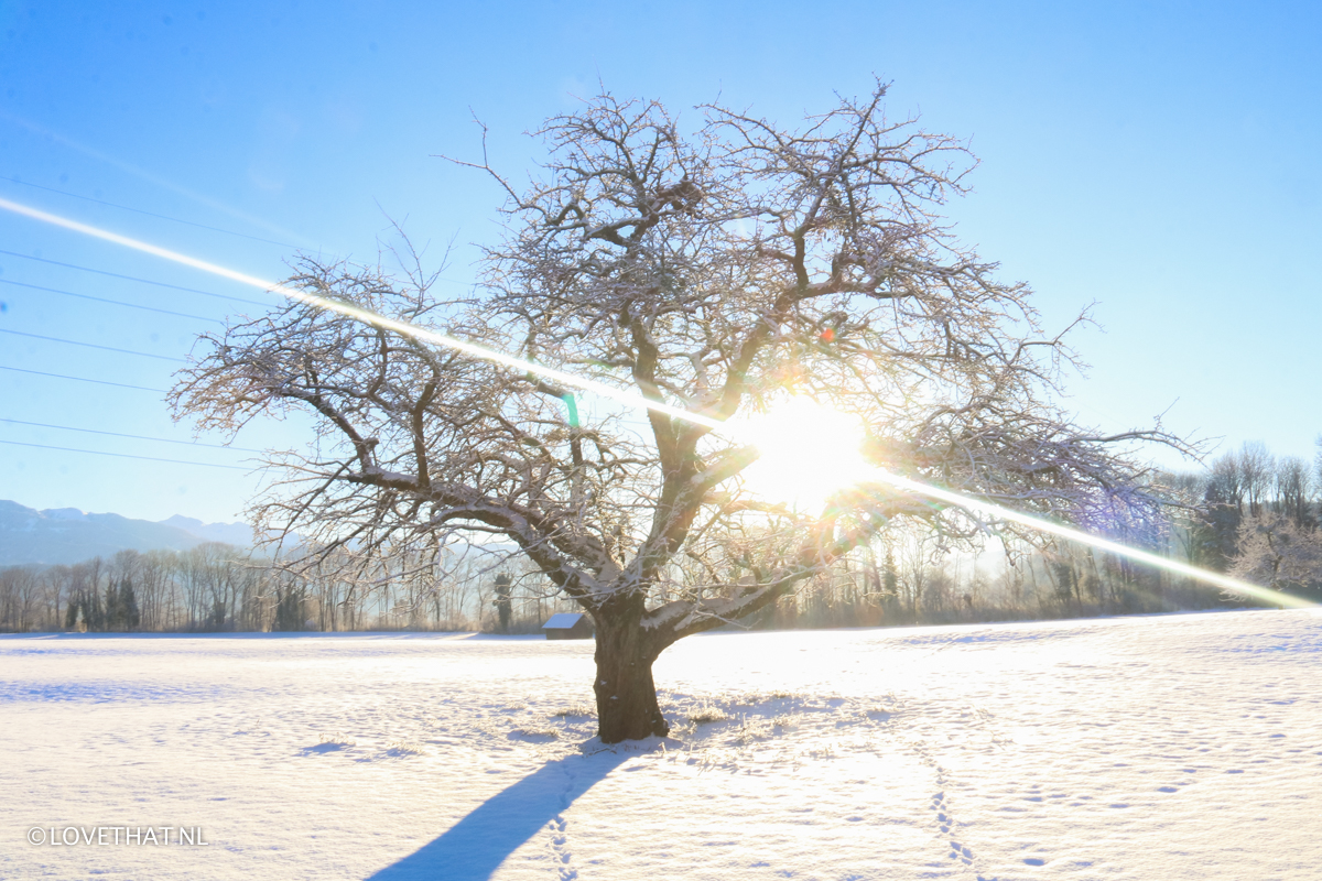 Winter in Zwitserland