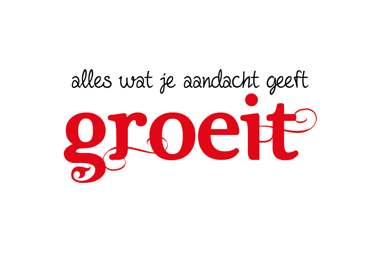 alles wat je aandacht geeft groeit