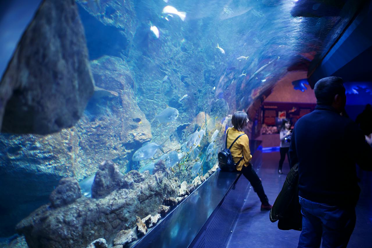 Hoe combineer je een zeeaquarium met jouw persoonlijke stijl?
